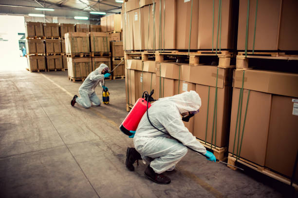 Best Wasp Removal Services  in Tchula, MS