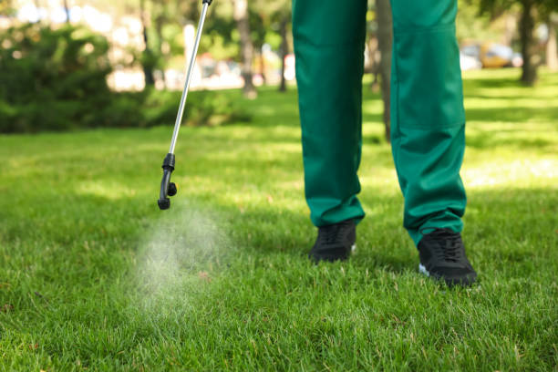 Pest Prevention Services in Tchula, MS