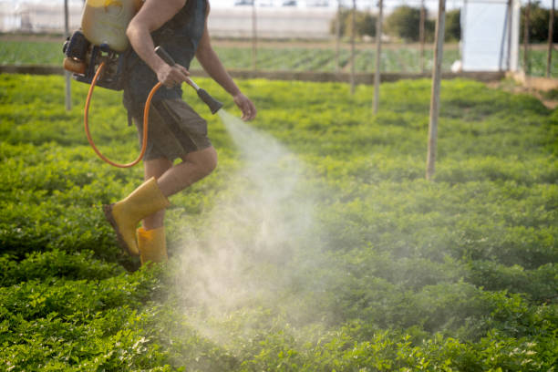 Pest Control for Restaurants in Tchula, MS