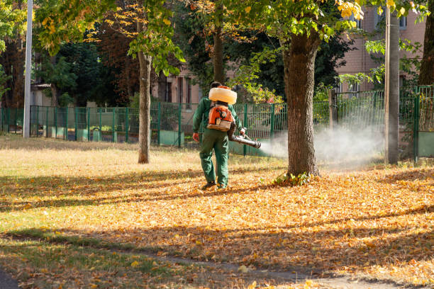 Flea Control Services in Tchula, MS