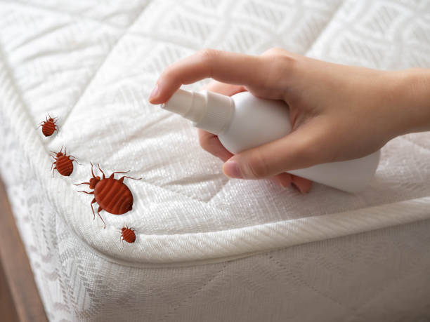 Best Emergency Pest Control  in Tchula, MS