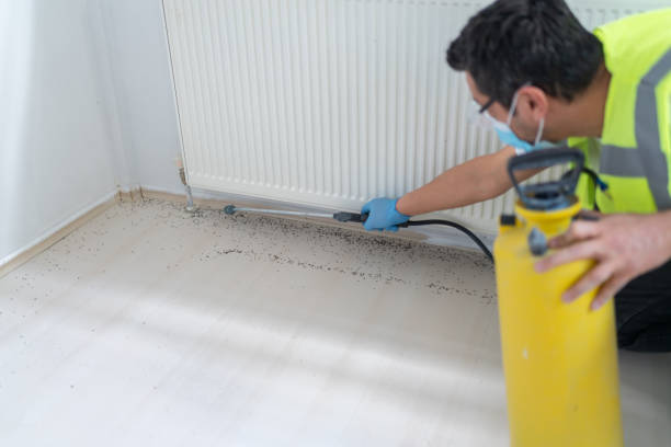 Pest Control Cost in Tchula, MS