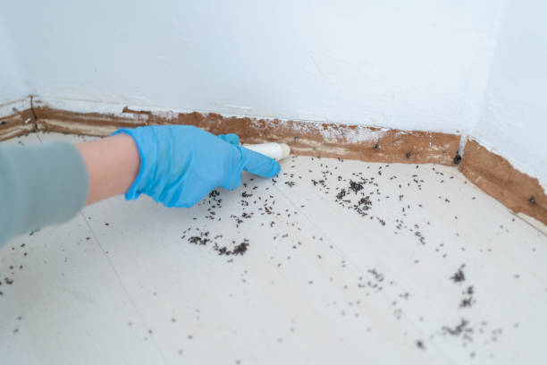 Professional Pest Control in Tchula, MS